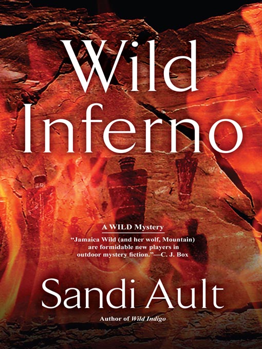Title details for Wild Inferno by Sandi Ault - Available